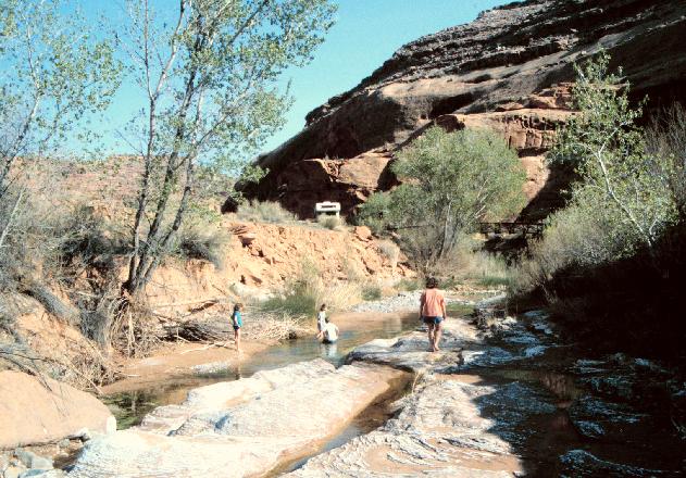 Hog Springs